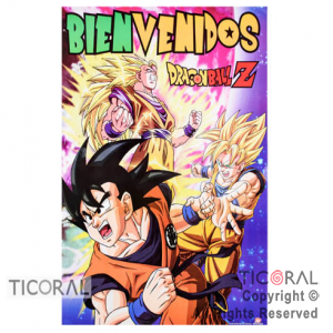 DRAGON BALL AFICHE BIENVENIDO x 1